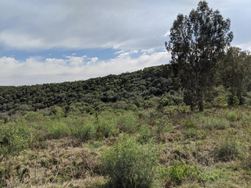 Chacra En El Departamento De Rivera