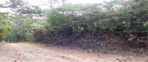 Imagem 2 de 5 de Terreno À Venda, 10500 M² Por R$ 3.000.000,00 - Jardim Colibri - Cotia/sp - Te4648