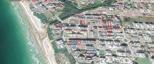 Imagem 19 de 20 de Apartamento No Bairro Ingleses - Ap5244