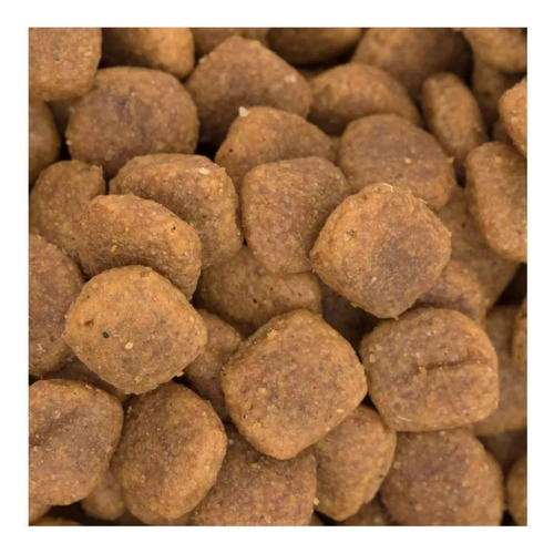 Alimento Para Perros Croquetas Exceed 15 Kg Msi