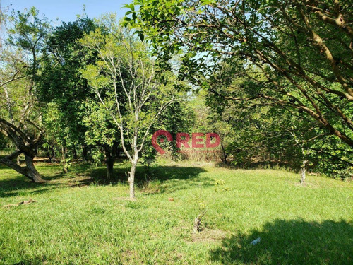 Imagem 10 de 15 de Chácara Com 3 Dormitórios À Venda, 5000 M² Por R$ 400.000,00 - Nossa Senhora De Fátima - Tietê/sp - Ch0048