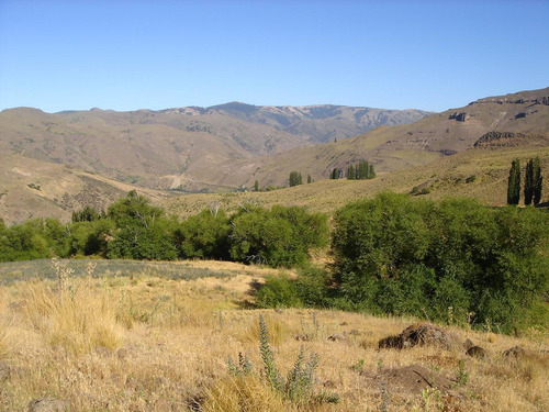 Imagen 22 de 30 de Campo En Venta Zona Alumine, Neuquén