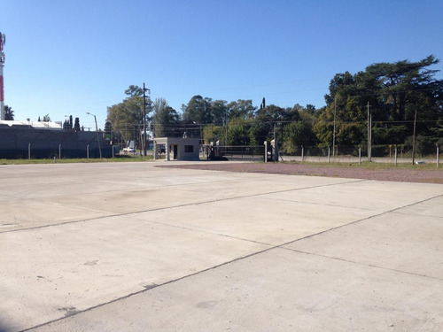 Imagen 12 de 19 de Depósito 5000m2 - Pilar