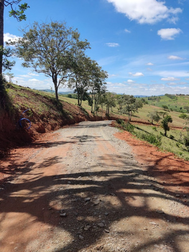 Imagem 7 de 30 de 03o-imperdivel Lote Com Area Verde