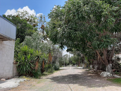 Imagen 8 de 10 de Terreno En Venta En Campestre San Isidro Las Flores