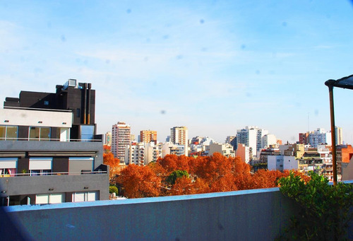 Imagen 23 de 23 de Departamento - Flores