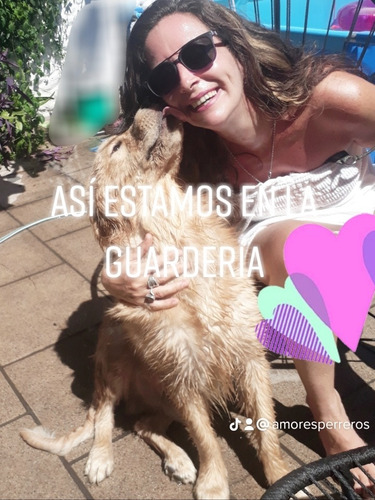 Imagen 2 de 5 de Guarderia Canina