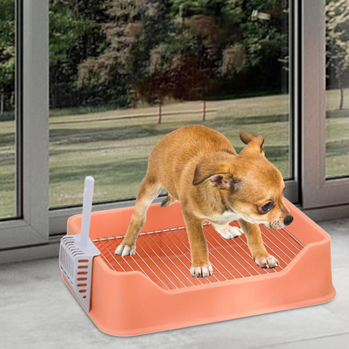 Inodoro Para Perros, Bandeja De Entrenamiento Para Naranja