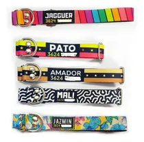 Comprar Collar Para Perros Pequeños Y Medianos, Nombre + Teléfono