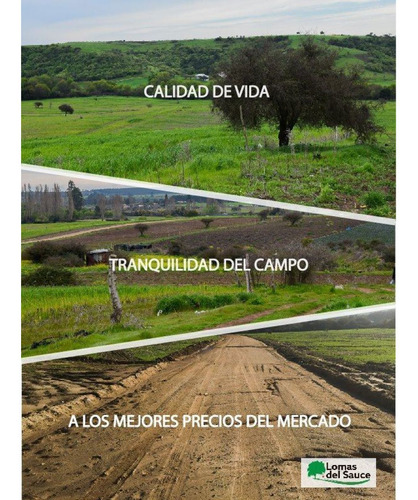 Excelente!! Parcelas De 5.000 M2 Con Rol Propio En "lom