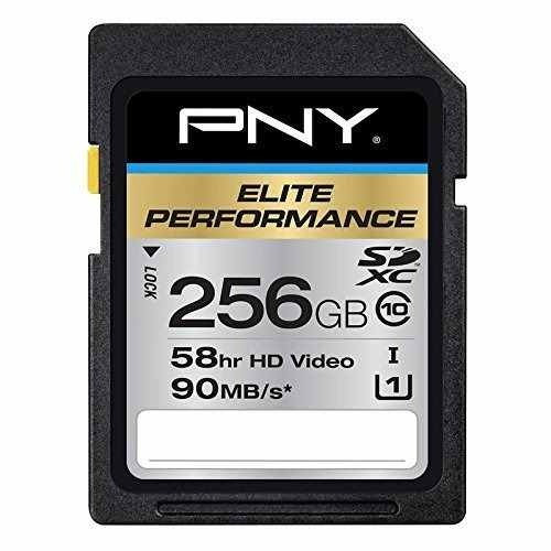 Pny Performance Elite 256gb De Alta Velocidad Sdxc Clase 10 