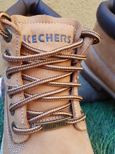 bototos skechers