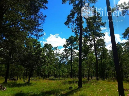 Imagen 2 de 12 de Terreno En Venta Bosques De Llano Grande