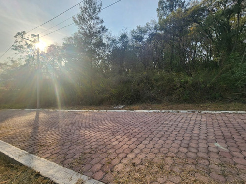 Venta Lote Gladiola 35 En Nueva Zona Del Fraccionamiento Con Bonitas Vistas, Todos Los Servicios Y Proyecto Incluído En Rancho San Diego Ixtapan De La Sal Edomex