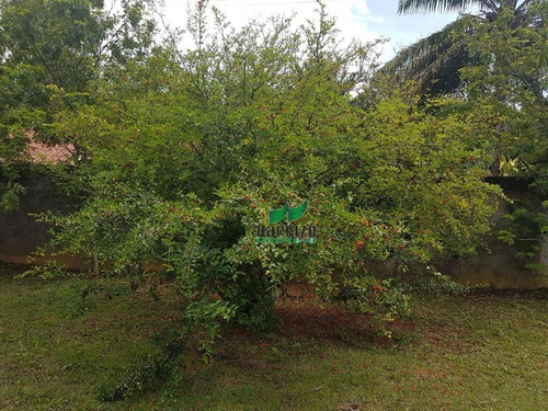 Chácara Com 2 Dormitórios À Venda, 6552 M² Por R$ 1.200.000,00 - Quingoma - Lauro De Freitas/ba - Ch0020