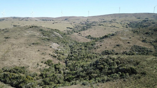 Imagen 16 de 21 de Venta Chacra Sierra Ruta 39 Aigua Sierra De Los Caracoles Maldonado