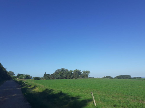 Venta De Chacra Colonia