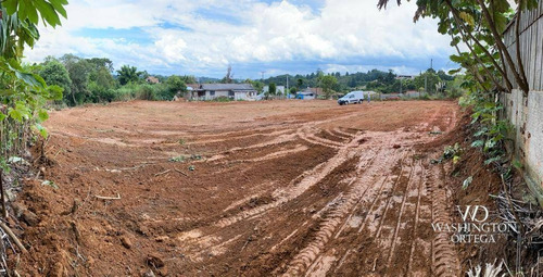Imagem 5 de 5 de Área Industrial 2540 M² Por R$1.190.000,00 - Braga - São José Dos Pinhais/pr - Te0035