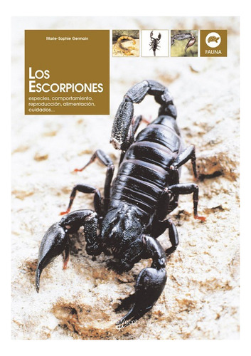 Los Escorpiones . Especies, Comportamiento, Reproduccion, Al