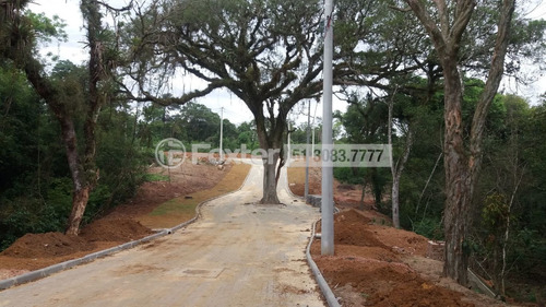 Imagem 29 de 29 de Terreno Em Condomínio, 398.93 M², Florescente - 192257