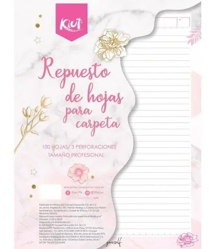 Repuesto De Hojas Para Carpeta Decorada Norma Kiut 100 Rayas