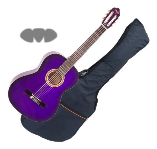 Guitarra Clasica Valencia Vc104 Incluye Funda Y 3 Puas!