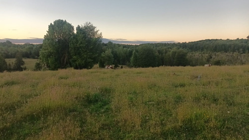 Parcela Fundo Colo - Quemchi - Chiloé - 5.000 M2