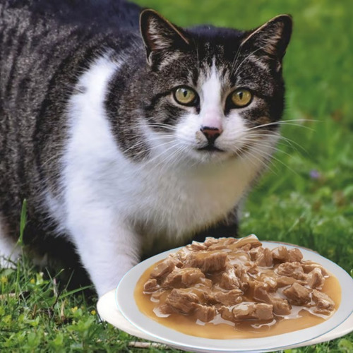 Pack 12 Sobres Alimento Para Gatos Felix Gatitos Pescado 85g