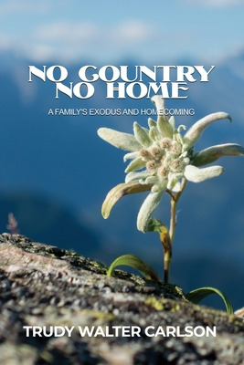 Libro No Country No Home: A Family's Exodus And Homecomin...