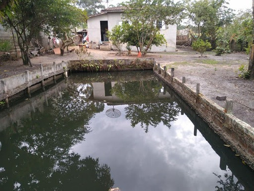 Imagem 1 de 13 de Chácara À Venda, 1600 M² Por R$ 350.000,00 - Caçapava Velha - Caçapava/sp - Ch0028