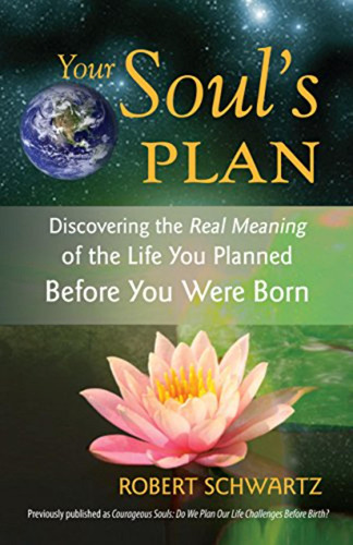 Your Soul's Plan: Discovering The Real Meaning Of The Life Y