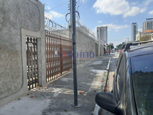 Imagem 15 de 15 de 1950m2 Na Região Da Av. Sta. Catarina - Frente De 40ml Para A Rua. - Mc5266