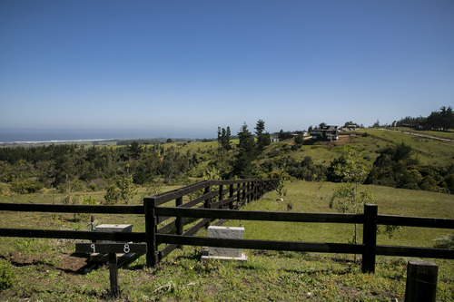 Reserva Natural En Punta De Lobos