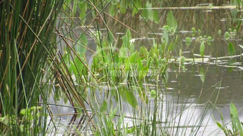 Parcela Con Rol Propio, Luz, Agua Potable Y Acceso Al Rio