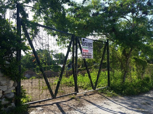 Imagen 1 de 12 de Terreno En Renta Zona Industrial Smza. 104