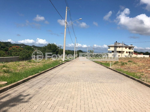 Imagem 19 de 21 de Terreno, 229.5 M², Campo Novo - 190370