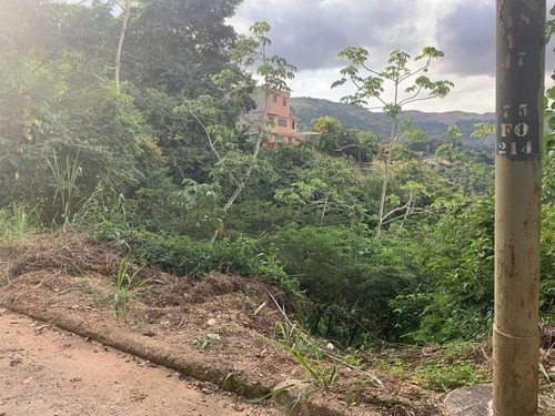 Imagen 5 de 11 de En Venta Terreno Con Excelente Ubicacion - Hacienda Caicaguana - Mls#22-21471