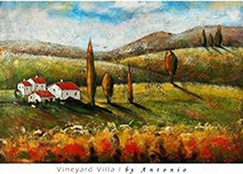 Buyartforless Vineyard Villa I De Antonio 26 X 36 Art Print 