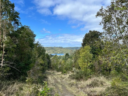 Campo En Venta En Quemchi