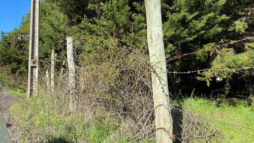 Terreno 5.000mt La Quinta, Cabrero Sin Comisión De Corretaje
