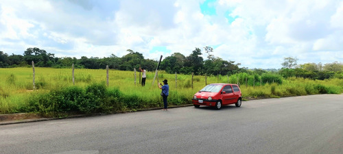 Virginia Vende Terreno En Tipuro Maturín 33 Hectareas