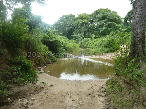 Imagen 4 de 30 de ( Terreno O Finca Agro Ecologica En Venta Chivacoa Sector Charay. Sorte 23-31244 As-1