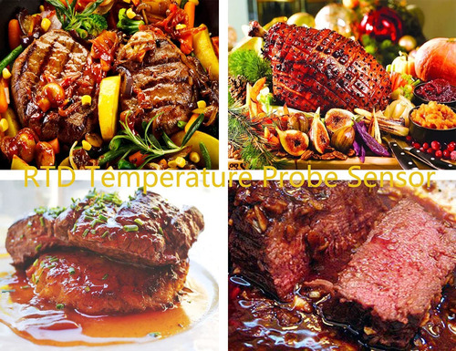Rtd Rtd Parrilla Con Sensor De Sonda De Temperatura, Piezas