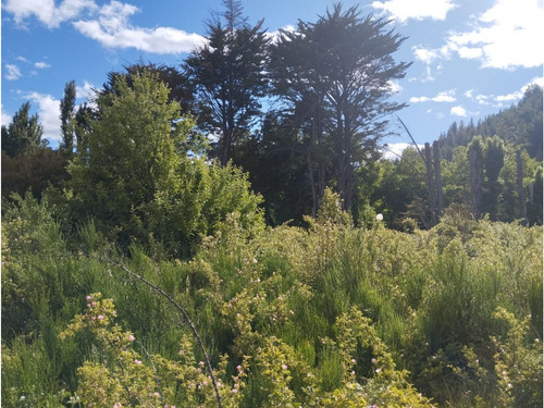 (027) Lago Puelo (radal - Ingreso Alt Currumahuida) Lotes De 1000mtrs2