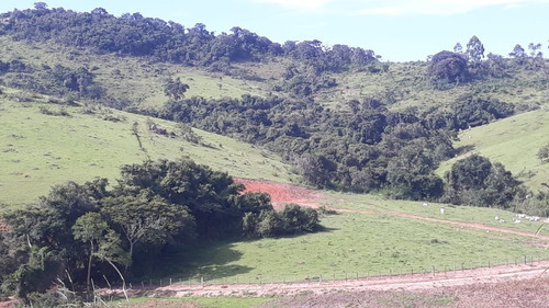 Imagem 11 de 30 de Vendo Fazenda Dupla Aptidao Regiao De Poços De Caldas (6176 )