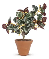 Comprar Vaso Com Planta Artificial Docoração Sala Folhas Artificiais Vaso de Cerâmica com Arranjo de Planta Artificial PLanta Realista Decoração de Sala e Escritório e Jardim