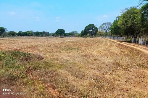 Imagen 11 de 11 de Rp Asein1110 Vende Hermosa Finca En Achagua, Estado Apure. Venezuela