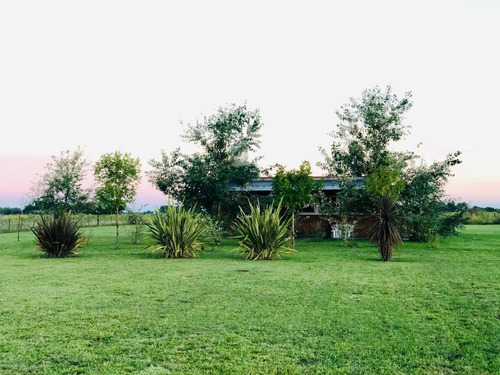 Imagen 16 de 30 de Campo En San Andres De Giles