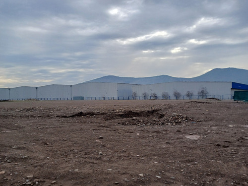 Terreno En Arriendo 8.000m2 Lautaro / Ruta 5