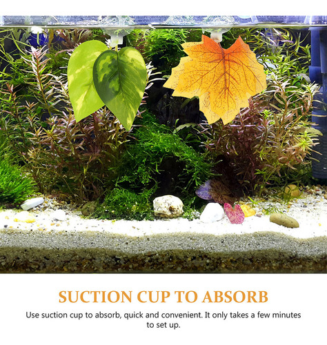 Cama Betta Lizard Para Pecera, 3 Unidades
